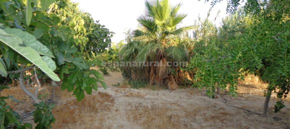 3 Schlafzimmer Villa in Las Norias (Huercal Overa), Spain, Nr. 7336 24