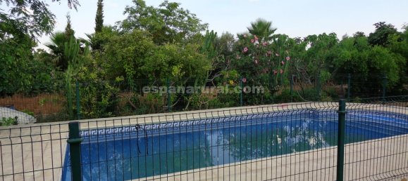 3 Schlafzimmer Villa in Las Norias (Huercal Overa), Spain, Nr. 7336 18