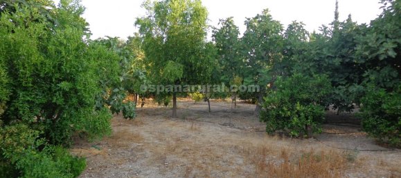 3 Schlafzimmer Villa in Las Norias (Huercal Overa), Spain, Nr. 7336 19