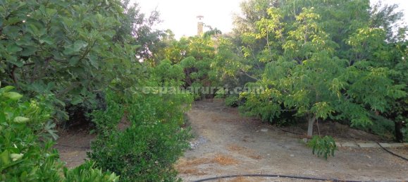 3 Schlafzimmer Villa in Las Norias (Huercal Overa), Spain, Nr. 7336 20