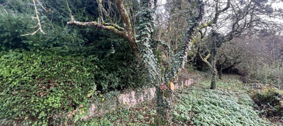 قطعة أرض في Main-Kinzig, Germany رقم 171105 5