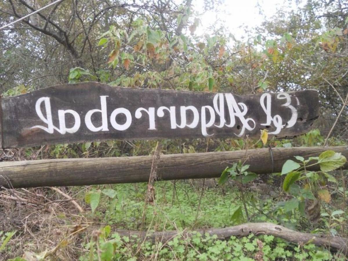  Land in Cordoba, Argentina No. 43714