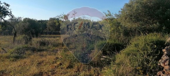 9000m² Land in Sao Bartolomeu de Messines, Portugal No. 38946 8