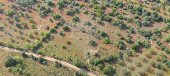 9000m² Land in Sao Bartolomeu de Messines, Portugal No. 38946 7