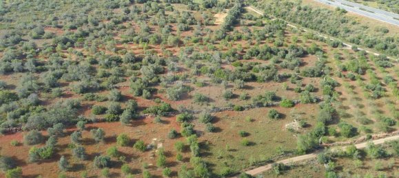 9000m² Land in Sao Bartolomeu de Messines, Portugal No. 38946 3