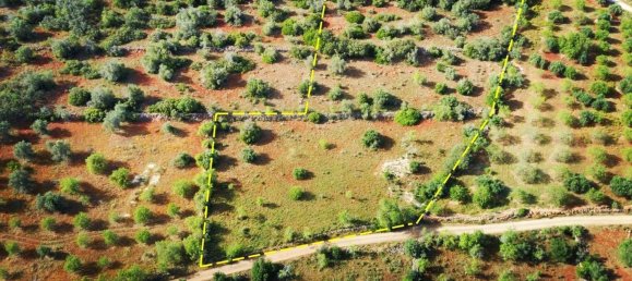 9000m² Land in Sao Bartolomeu de Messines, Portugal No. 38946 2