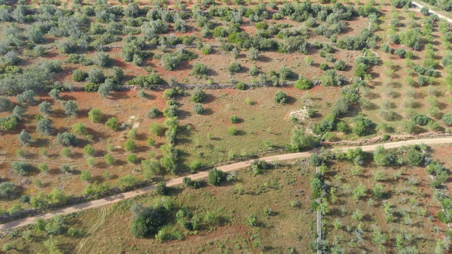 9000m² Land in Sao Bartolomeu de Messines, Portugal No. 38946