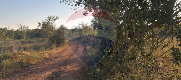 9000m² Land in Sao Bartolomeu de Messines, Portugal No. 38946 5