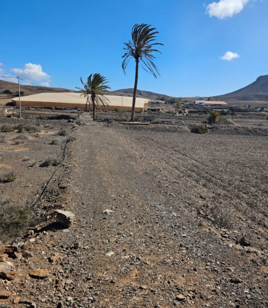  قطعة أرض في Tuineje, Spain 37000متر مربع رقم 190688