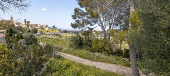 6 غرف نوم تاون هاوس في Mallorca, Spain رقم 167645 43