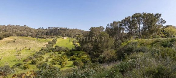 6 غرف نوم تاون هاوس في Mallorca, Spain رقم 167645 3