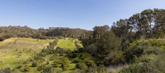 6 غرف نوم تاون هاوس في Mallorca, Spain رقم 167645 39