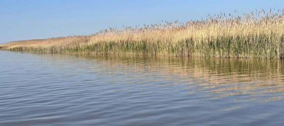 4-Zimmer Haus in Mörbisch am See, Austria, Nr. 148320 27