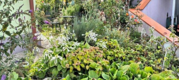 4-Zimmer Haus in Mörbisch am See, Austria, Nr. 148320 23