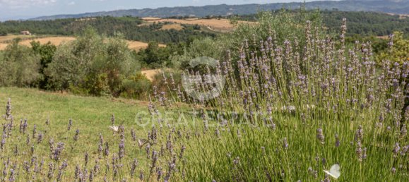 4 bedrooms Land in Fabro, Italy No. 260803 10