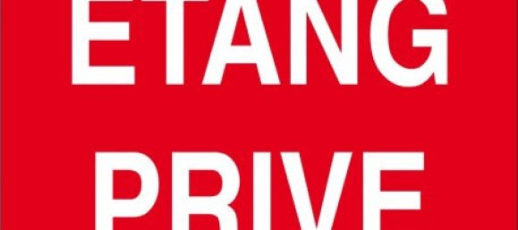  Land in Marne, France No. 57901 2