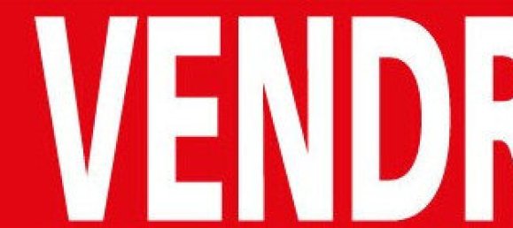  Land in Marne, France No. 57901 5