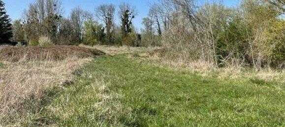  Land in Marne, France No. 57901 4