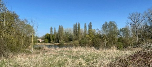  Land in Marne, France No. 57901 3