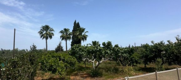4 dormitorios villa en venta en Paralimni, Ammochostos, Cyprus № 26791 20