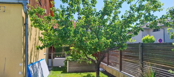 4-Zimmer Stadthaus in Münchendorf, Austria, Nr. 231727 30