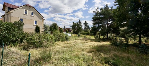  قطعة أرض في Saxony, Germany رقم 320312 2