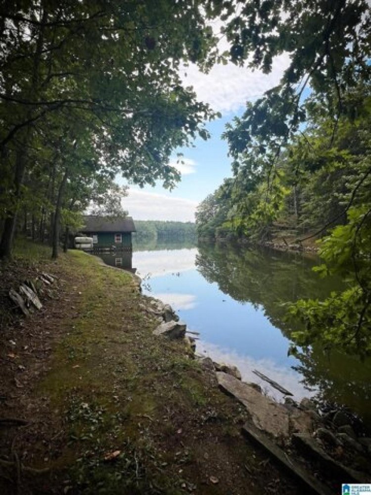  Land in Wedowee, USA No. 506639