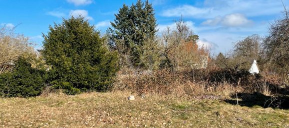 5 bedrooms House in Brandenburg, Germany No. 27600 11