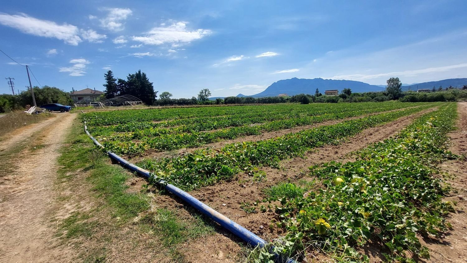 Земельный участок 10000м² в Эболи, Италия № 300326