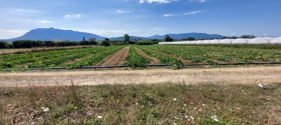 Земельный участок 10000м² в Эболи, Италия № 300326 3