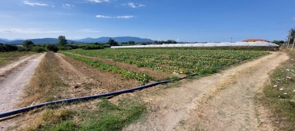 Земельный участок 10000м² в Эболи, Италия № 300326 2