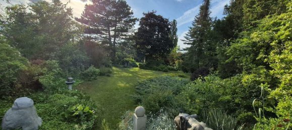 6 rooms House in Deutsch-Wagram, Austria No. 144700 4