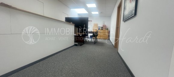 342m² Commercial property in Hesingue, France No. 155956 3