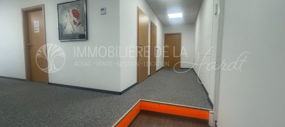 342m² Commercial property in Hesingue, France No. 155956 4