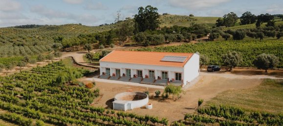 10 bedrooms Castles in Vila de Frades, Portugal No. 113057 14