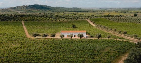 10 bedrooms Castles in Vila de Frades, Portugal No. 113057 10