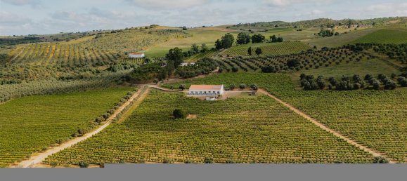 10 bedrooms Castles in Vila de Frades, Portugal No. 113057 2