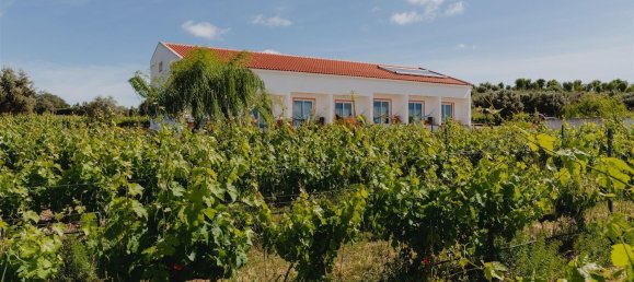 10 bedrooms Castles in Vila de Frades, Portugal No. 113057 20