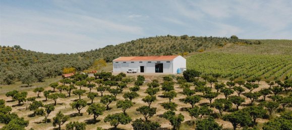 10 bedrooms Castles in Vila de Frades, Portugal No. 113057 15