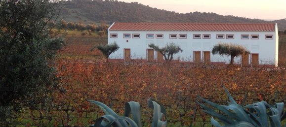 10 bedrooms Castles in Vila de Frades, Portugal No. 113057 13