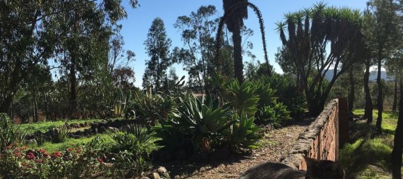 10 bedrooms Castles in Vila de Frades, Portugal No. 113057 19