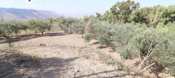 7 rooms House in Caltagirone, Italy No. 235974 47