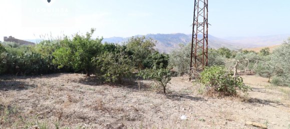 7 rooms House in Caltagirone, Italy No. 235974 44