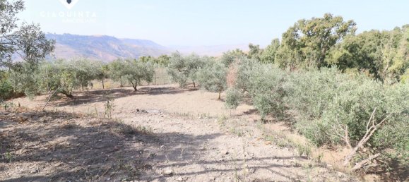 7 rooms House in Caltagirone, Italy No. 235974 46