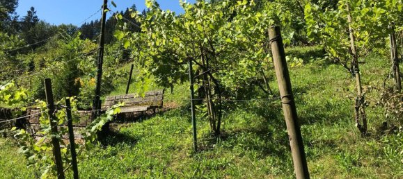  قطعة أرض في Haibach ob der Donau, Austria رقم 166760 7