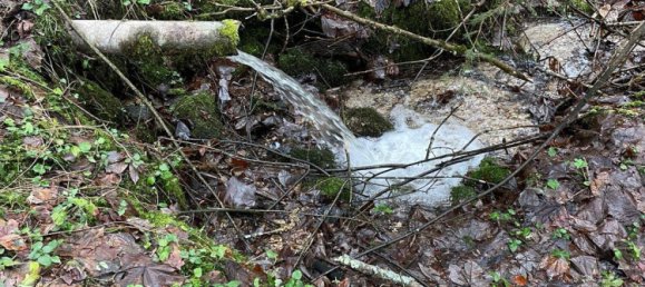  قطعة أرض في Haibach ob der Donau, Austria رقم 166760 5