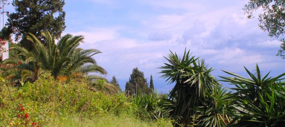 4 bedrooms Commercial property in Corfu, Greece No. 7899 15