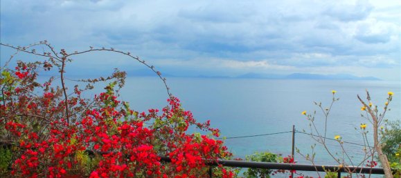 4 bedrooms Commercial property in Corfu, Greece No. 7899 2