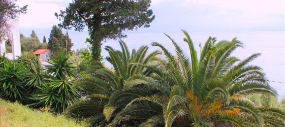 4 bedrooms Commercial property in Corfu, Greece No. 7899 14