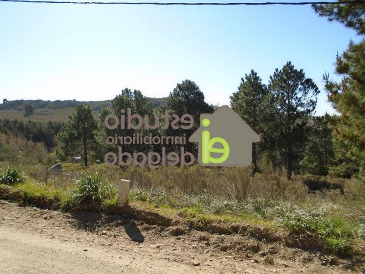  Land in Buenos Aires, Argentina No. 115180